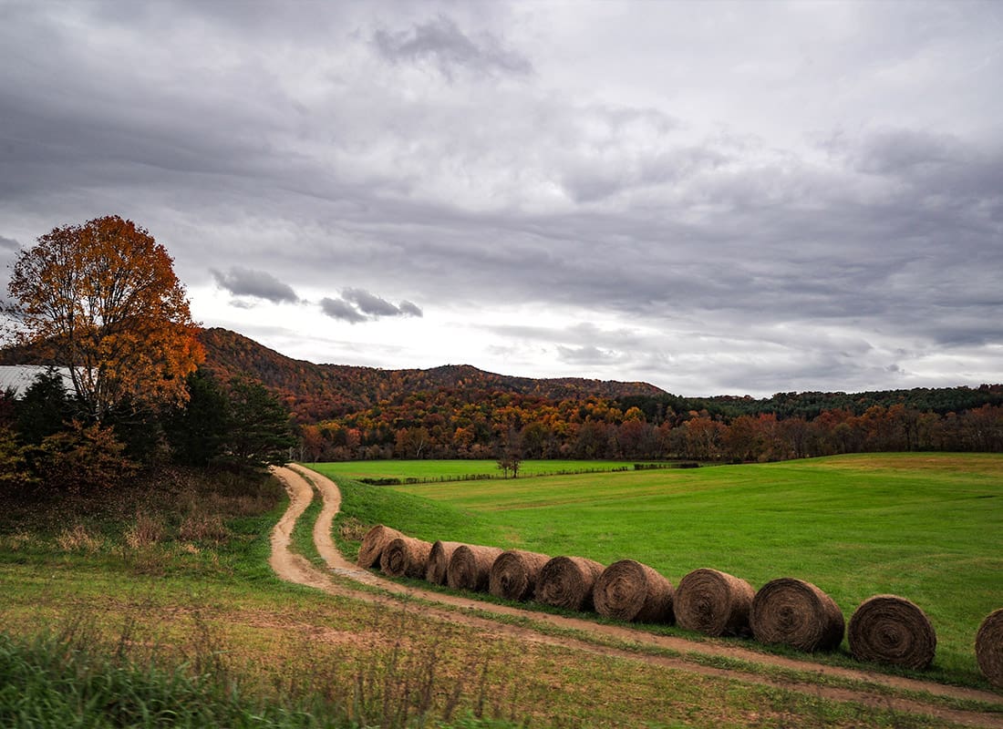 Hayes, VA - Farm Road With Wheat Rolls on the Side